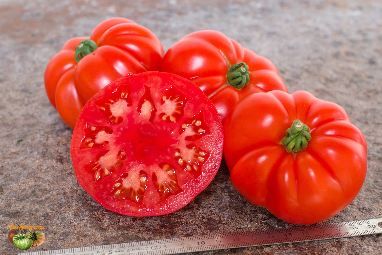 Tomate Marmande