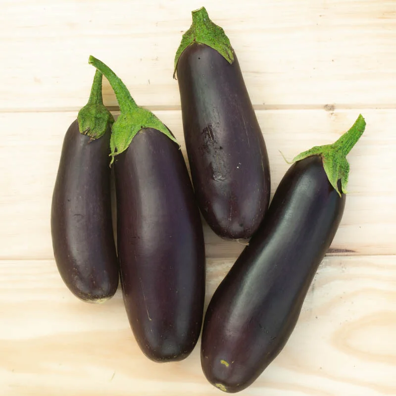 Aubergine violette diamond