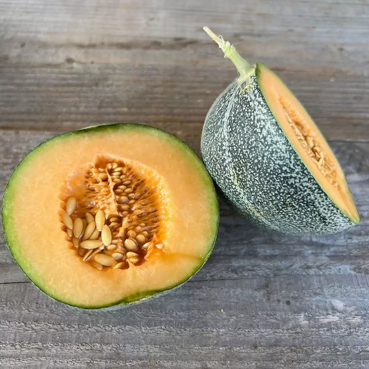 Melon petit gris de Rennes