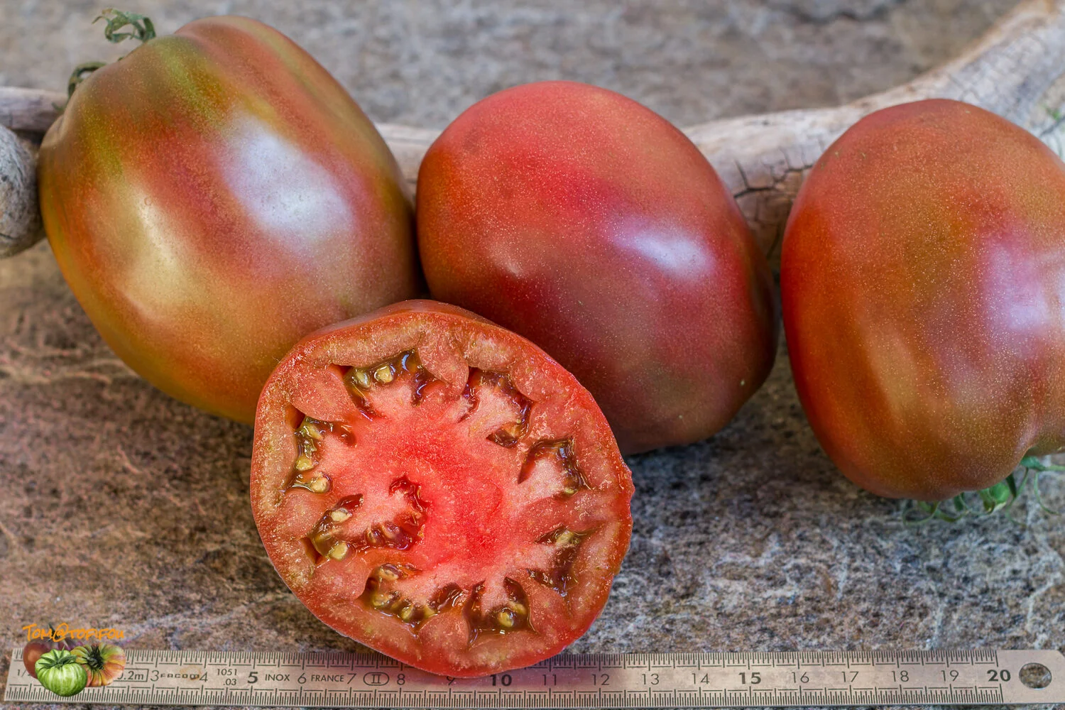 Tomate cœur de bœuf noire charbonneuse