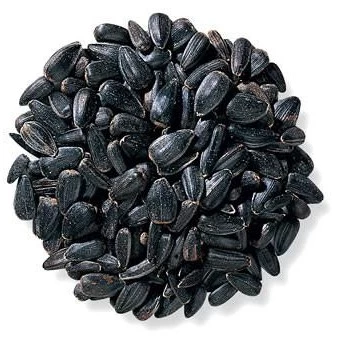 Tournesol noir 15kg